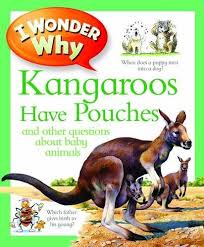 IWW Kangaroos Have Pouches